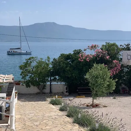 Amica Trogir