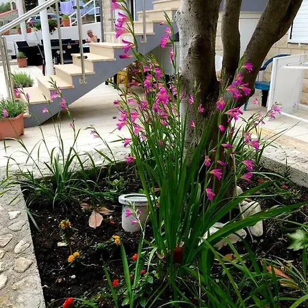 Apartment Amica Trogir