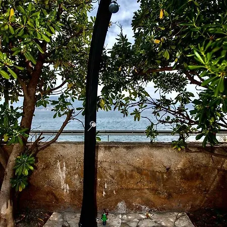 Amica トロギール