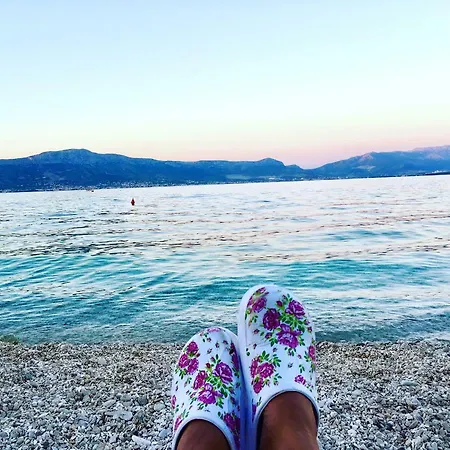 Amica アパート トロギール